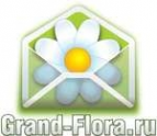 Логотип компании Доставка цветов Гранд Флора (ф-л г. Черногорск)